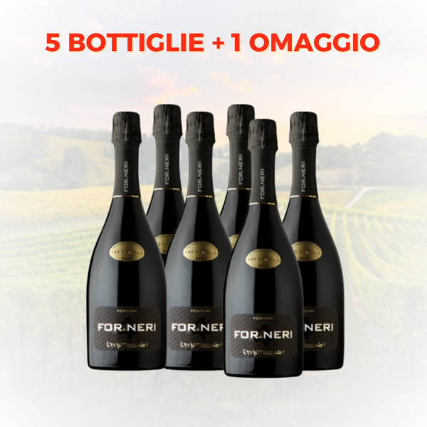 Forneri Spumante Metodo Classico Trento D.O.C. Brut Millesimato 13% Vol. 75cl  5+1 Omaggio