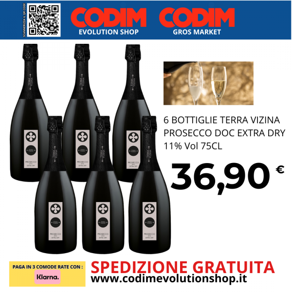 6 Bottiglie Terra Vizina Prosecco DOC Extra Dry 11% Vol 75CL